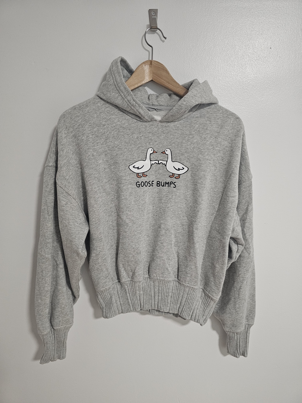 Aerie Goose Bumps Graphic Hoodie Sweater Gray XS